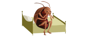 dead bed bugs - pest control for bed bugs